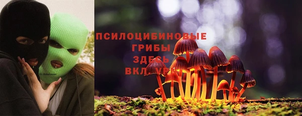 прущая мука Вязники